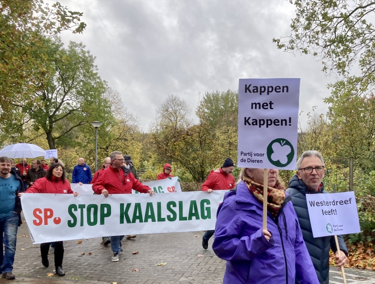 Tientallen mensen lopen mee tijdens protestmars tegen bomenkap Westerdreef