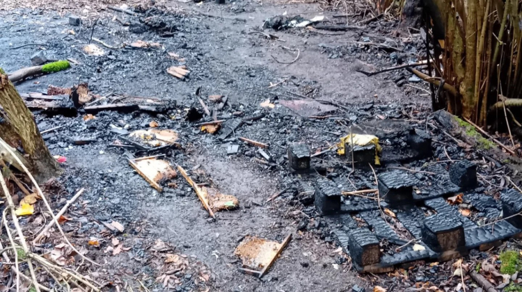 Inzamelingsactie voor bijen in Beatrixpark na verwoestende brand: bijna 30.000 euro in een dag