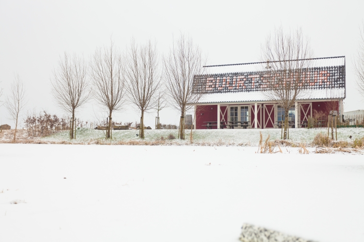 Winterweer op komst: weekend kans op sneeuw tot 20 centimeter!
